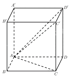 Giải bài 16 trang 78 sách bài tập toán 12 - Chân trời sáng tạo 2