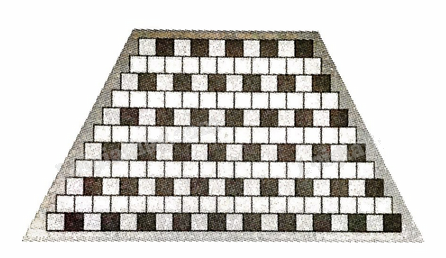 Giải bài 2.16 trang 37 sách bài tập toán 11 - Kết nối tri thức với cuộc sống 1