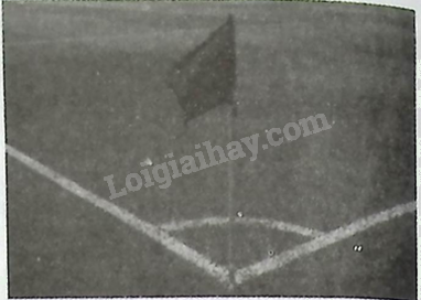 Giải bài 2.23 trang 50 sách bài tập toán 12 - Kết nối tri thức 1