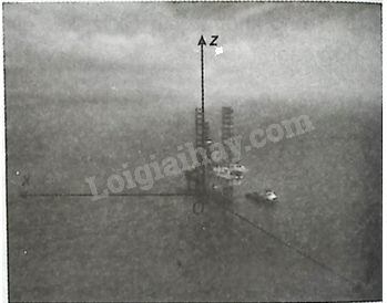 Giải bài 2.24 trang 50 sách bài tập toán 12 - Kết nối tri thức 1