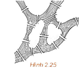 Giải bài 2.8 trang 44 Chuyên đề học tập Toán 11 Kết nối tri thức 1