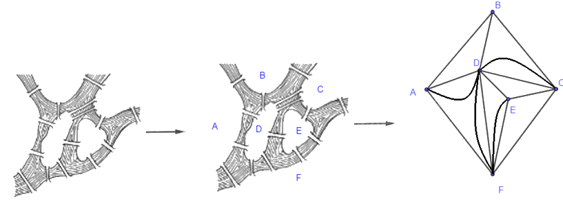 Giải bài 2.8 trang 44 Chuyên đề học tập Toán 11 Kết nối tri thức 3