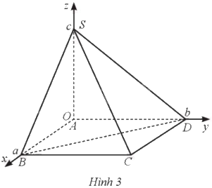 Giải bài 20 trang 48 sách bài tập toán 12 - Cánh diều 1