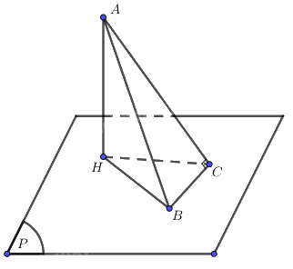 Giải bài 22 trang 95 sách bài tập toán 11 - Cánh diều 2