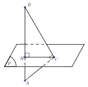 Giải bài 23 trang 95 sách bài tập toán 11 - Cánh diều 2