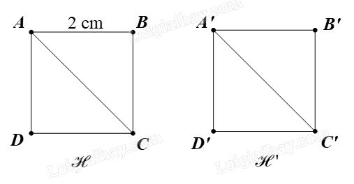 Giải bài 3 trang 10 Chuyên đề học tập Toán 11 Chân trời sáng tạo 2