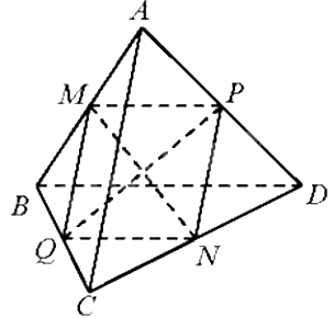 Giải bài 3 trang 51 sách bài tập toán 11 - Chân trời sáng tạo tập 2 2