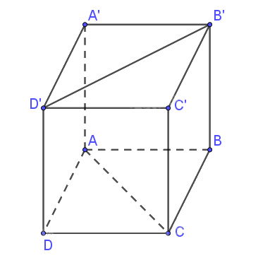 Giải bài 3 trang 89 sách bài tập toán 11 - Cánh diều 2