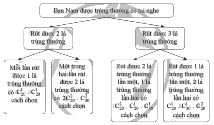 Giải bài 31 trang 21 sách bài tập toán 11 tập 2 - Cánh diều 2