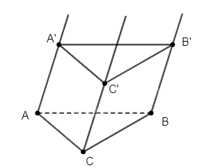 Giải bài 33 trang 108 sách bài tập toán 11 - Cánh diều 2