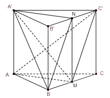 Giải bài 37 trang 112 sách bài tập toán 11 - Cánh diều 2