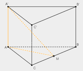 Giải bài 39 trang 104 sách bài tập toán 11 - Cánh diều 2