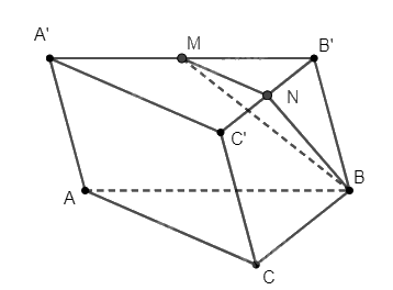 Giải bài 39 trang 113 sách bài tập toán 11 - Cánh diều 2
