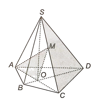 Giải bài 4.1 trang 55 sách bài tập toán 11 - Kết nối tri thức với cuộc sống 2