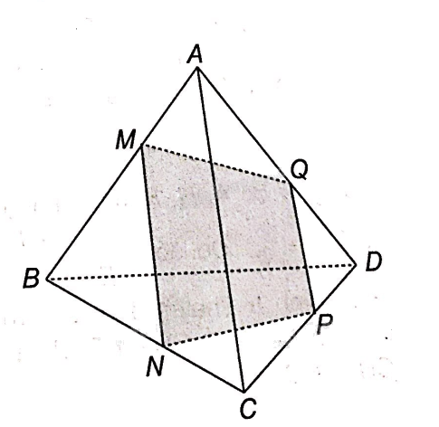 Giải bài 4.19 trang 60 sách bài tập toán 11 - Kết nối tri thức với cuộc sống 3