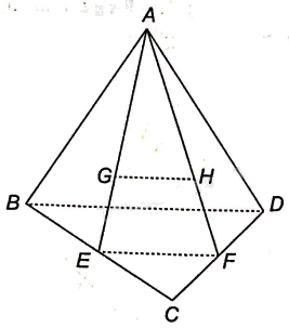 Giải bài 4.24 trang 63 sách bài tập toán 11 - Kết nối tri thức với cuộc sống 2