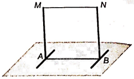 Giải bài 4.28 trang 63 sách bài tập toán 11 - Kết nối tri thức với cuộc sống 3