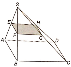 Giải bài 4.31 trang 67 sách bài tập toán 11 - Kết nối tri thức với cuộc sống 2