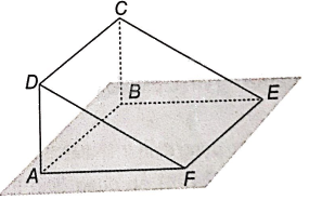 Giải bài 4.33 trang 68 sách bài tập toán 11 - Kết nối tri thức với cuộc sống 2