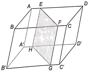 Giải bài 4.34 trang 68 sách bài tập toán 11 - Kết nối tri thức với cuộc sống 2