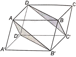 Giải bài 4.36 trang 68 sách bài tập toán 11 - Kết nối tri thức với cuộc sống 2
