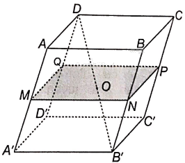 Giải bài 4.38 trang 68 sách bài tập toán 11 - Kết nối tri thức với cuộc sống 2