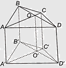 Giải bài 4.42 trang 71 sách bài tập toán 11 - Kết nối tri thức với cuộc sống 2