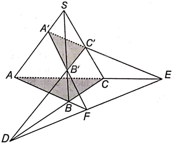 Giải bài 4.8 trang 56 sách bài tập toán 11 - Kết nối tri thức với cuộc sống 2