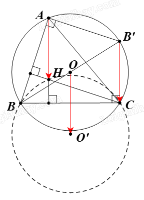 Giải bài 4 trang 14 Chuyên đề học tập Toán 11 Chân trời sáng tạo 2