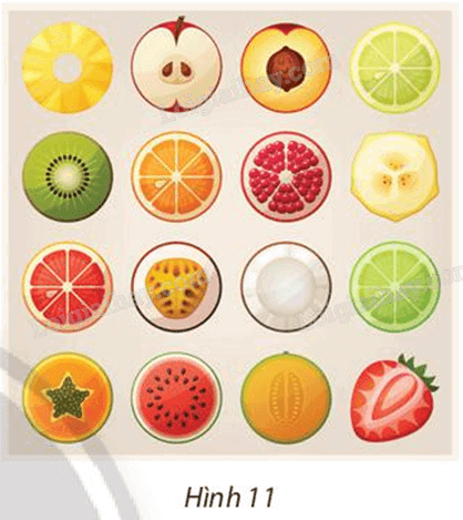 Giải bài 4 trang 24 Chuyên đề học tập Toán 11 Chân trời sáng tạo 1