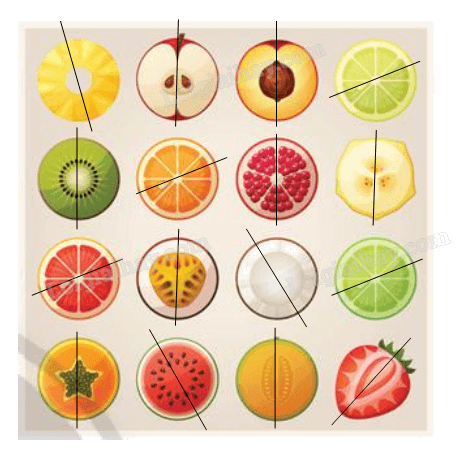 Giải bài 4 trang 24 Chuyên đề học tập Toán 11 Chân trời sáng tạo 3