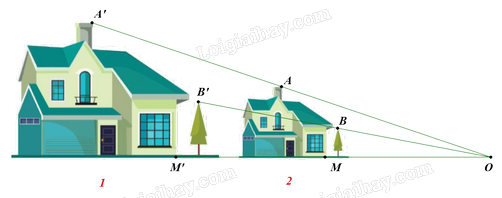 Giải bài 4 trang 40 Chuyên đề học tập Toán 11 Chân trời sáng tạo 3