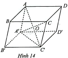 Giải bài 4 trang 63 sách bài tập toán 12 - Chân trời sáng tạo 1