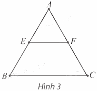 Giải bài 4 trang 67 Chuyên đề học tập Toán 11 Chân trời sáng tạo 1