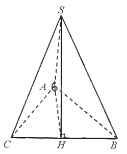Giải bài 4 trang 73 sách bài tập toán 11 - Chân trời sáng tạo tập 2 2