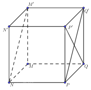 Giải bài 4 trang 89 sách bài tập toán 11 - Cánh diều 2