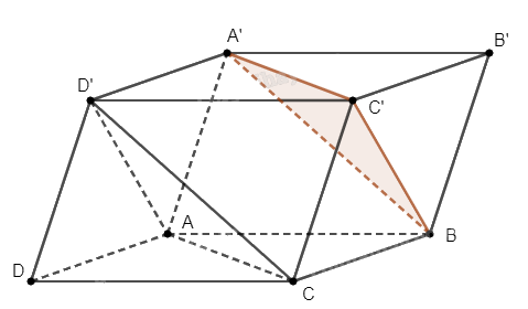 Giải bài 40 trang 113 sách bài tập toán 11 - Cánh diều 2