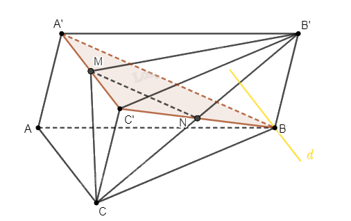 Giải bài 41 trang 113 sách bài tập toán 11 - Cánh diều 2