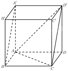 Giải bài 41 trang 77 sách bài tập toán 12 - Cánh diều 2
