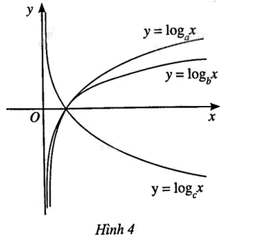 Giải bài 43 trang 45 sách bài tập toán 11 - Cánh diều 1
