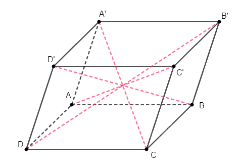 Giải bài 44 trang 113 sách bài tập toán 11 - Cánh diều 3