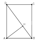 Giải bài 45 trang 109, 110 sách bài tập toán 11 - Cánh diều 2