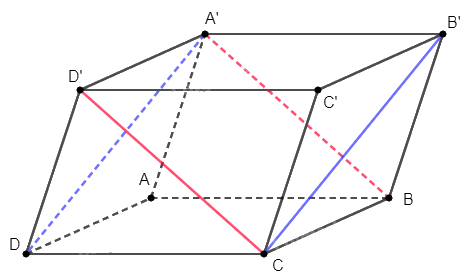 Giải bài 46 trang 116 sách bài tập toán 11 - Cánh diều 2