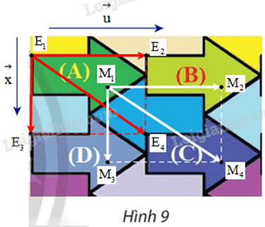 Giải bài 5 trang 14 Chuyên đề học tập Toán 11 Chân trời sáng tạo 3