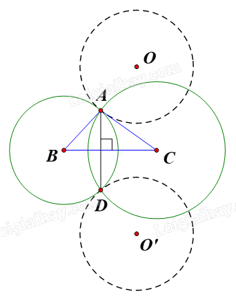 Giải bài 5 trang 19 Chuyên đề học tập Toán 11 Chân trời sáng tạo 3