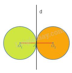 Giải bài 5 trang 24 Chuyên đề học tập Toán 11 Cánh diều 3