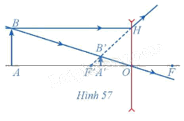 Giải bài 5 trang 33 Chuyên đề học tập Toán 11 Cánh diều 1
