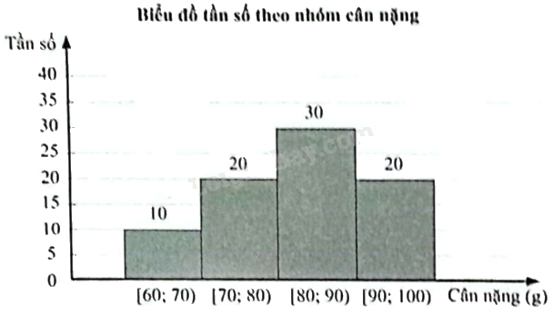 Giải bài 5 trang 97 sách bài tập toán 12 - Chân trời sáng tạo 1