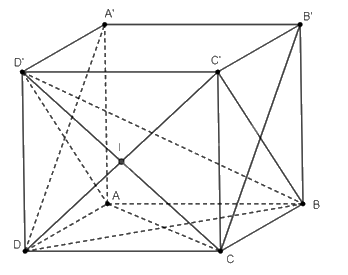 Giải bài 55 trang 117 sách bài tập toán 11 - Cánh diều 2