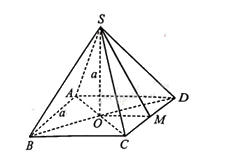 Giải bài 57 trang 118 sách bài tập toán 11 tập 2 - Cánh diều 1